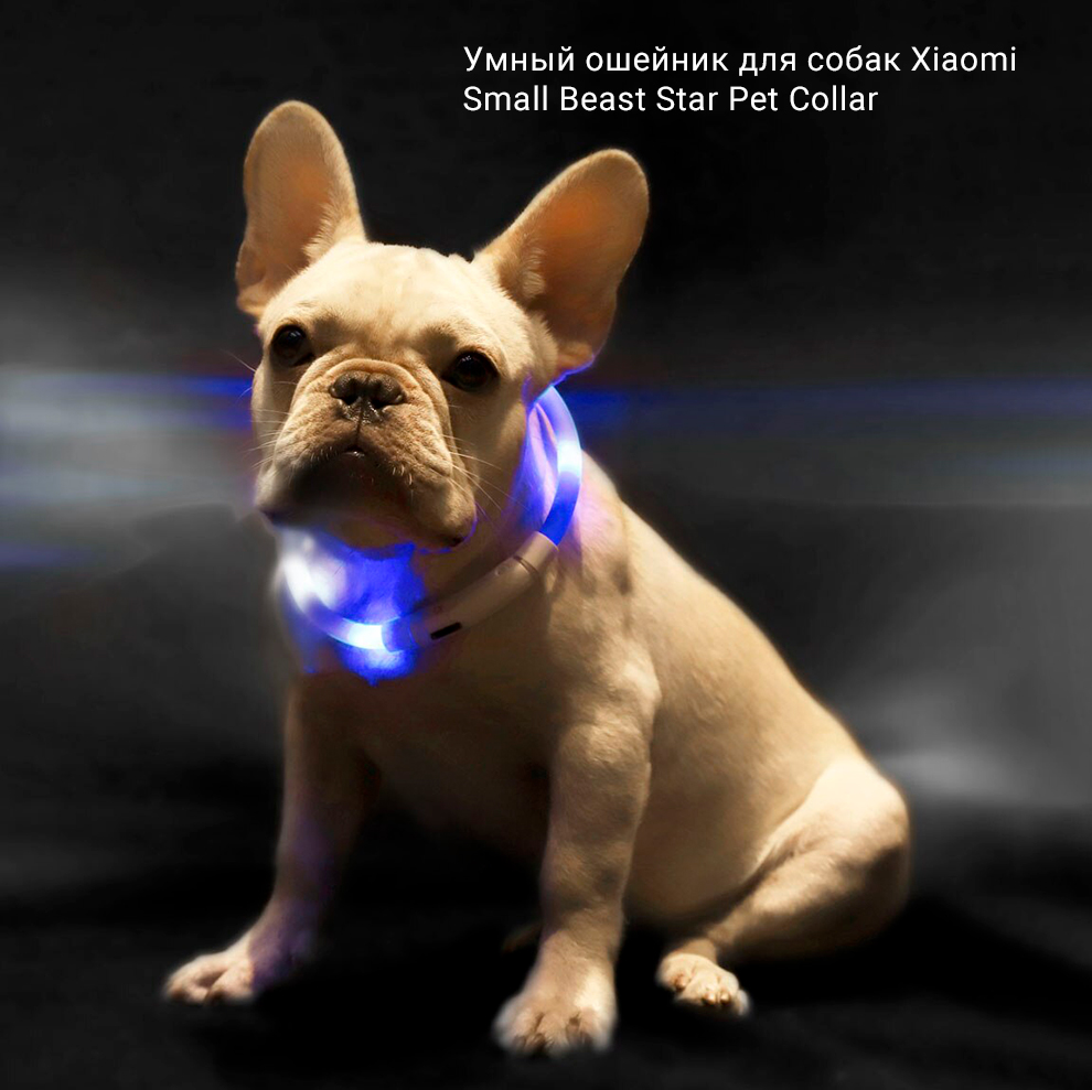 Умный ошейник для собак Xiaomi Small Beast Star Pet Collar (XL81-5001)